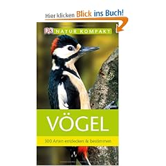 Natur kompakt: V�gel 300 Arten entdecken & bestimmen