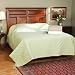 300TC Mackenzie Down Alternative Cotton Quilt