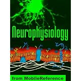 Neurophysiology Quick Stude Guide. FREE Neurocellular Anatomy chapter in trial version.