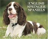 Just English Springer Spaniels 2008 Calendar (Just)