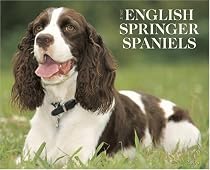Just English Springer Spaniels Calendar