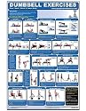 Dumbbell Exercises-Lower Body/Core/Chest & Back Laminated (Poster)