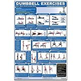 Dumbbell Exercises-Lower Body/Core/Chest & Back Laminated (Poster)