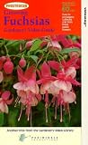  : Fuchsias [1992]