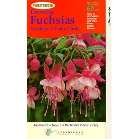 Fuchsias [VHS] [1992]