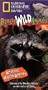 National Geographic's Really Wild Animals: Amazing North America [VHS]
