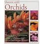 Orchids (Success with)