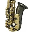 Cecilio Black Nickel Plated Alto Saxophone and Gold Plated Keys w/ Carrying Case and Accessories