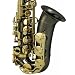 Cecilio Black Nickel Plated Alto Saxophone and Gold Plated Keys w/ Carrying Case and Accessories