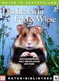 Die Grosse BILD Naturbibliothek, Band 5. Das Leben in Feld und Wiese - Midsummer Books Limited