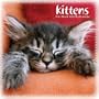KITTENS 2010 Wall Calendar