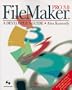 Filemaker Pro 3.0: A Developer's Guide