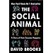 Business and Social Media
