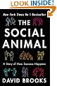 The Social Animal: A Story of How Success Happens