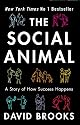 The Social Animal: A Story of How Success Happens