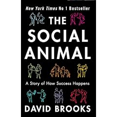 The Social Animal: A Story of How Success Happens - David Brooks