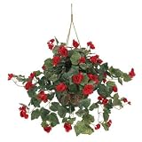 Begonia Silk Hanging Basket