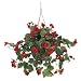 Begonia Silk Hanging Basket