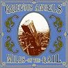 Image of album by Grievous Angels