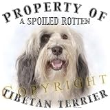 Tibetan Terrier Property Of Adult T Shirt