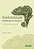 Evolutionary Pathways in Nature: A Phylogenetic Approach