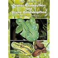 Gr�ner Baumpython und Gr�ne Hundskopfboa: Pflege, Zucht und Lebensweise