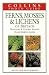 Book Ferns, Mosses & Lichens of Britain & Northern and Central Europe (Collins Photo Guide)