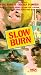 VHS : Slow Burn