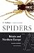 Spiders of Britain and Northern Europe (Collins Field Guide)