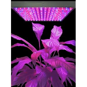 New 55 Watt LED Grow Light Panel Hydropronic Plant Red Blue by Sky Enterprise USA