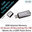 USB FLASHDRIVE/VOICE RECORDER 2 GB