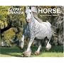 Gypsy Vanner Horse 2008 Calendar