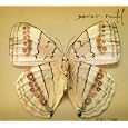 White Moth