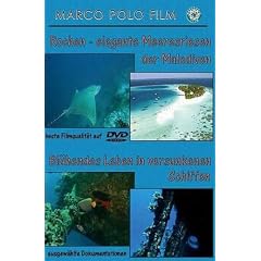 Rochen-elegante Meeresriesen der Malediven/Bl�hendes Leben der versunkenen Schiffe