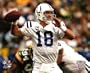 Peyton Manning Colts Close Up 2008 8x10 Photo