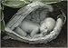 Joseph's Studio Precious Sleeping Baby in Angel Wings Garden Statue 14.25