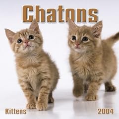 Chatons/ Kittens Mini Wall Calendar: 2004