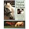 Horses Horses Horses