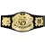 WWE Title Belts - Champions Belt