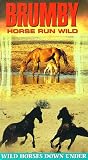 Brumby: Horse Run Wild