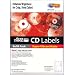 MicroVision SureThing i073731 Premium CD Labels (Matte, 100-Count)