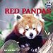 Image of Red Pandas (Paws and Claws)