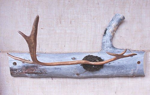 Large Unique Reindeer Antler Coat Rack