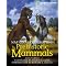 Books on Prehistory