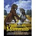 National Geographic Prehistoric Mammals (National Geographic)
