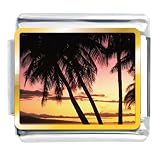 Palms Under Tropical Sunset Italian Charms Bracelet Link