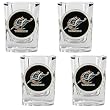 Washington Wizards 4pc Square Shot Glass Set NBA Basketball