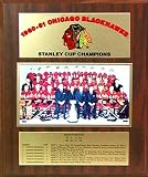 Chicago Blackhawks 1961 Stanley Cup Champions Healy Plaque