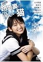 路地裏の優しい猫 2009[DVD]