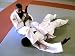 Bubba Dummy II Jiu Jitsu Judo Grappling Dummy